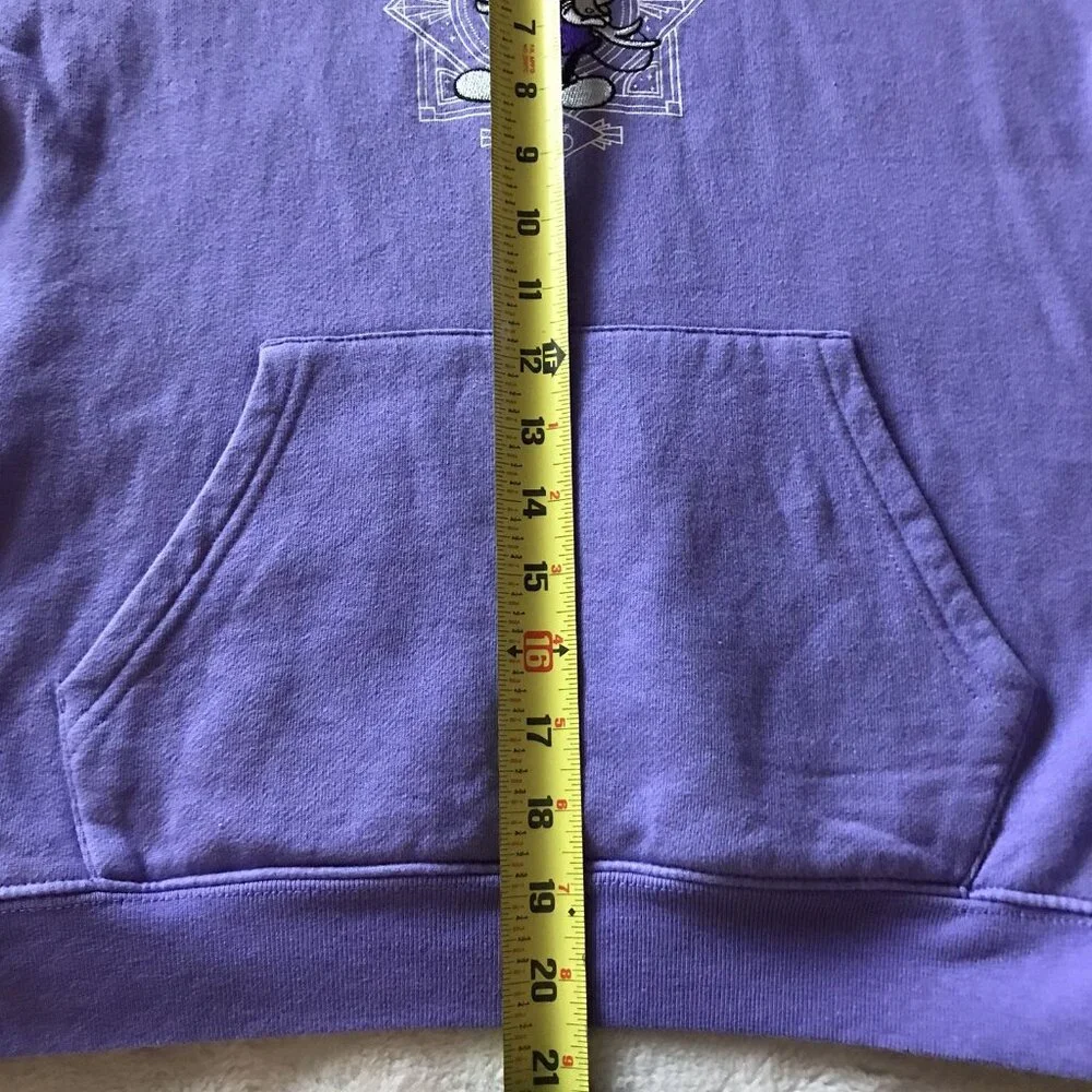 Walt Disney World 100years Mickey‎ and Friends Embroidered Hoodie Youth Size 13